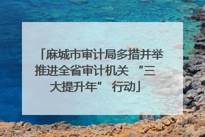 麻城市审计局多措并举推进全省审计机关 “三大提升年” 行动